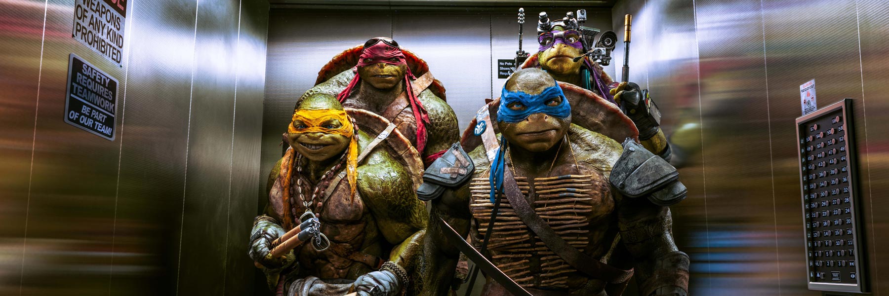 Turtlemovie1800x600