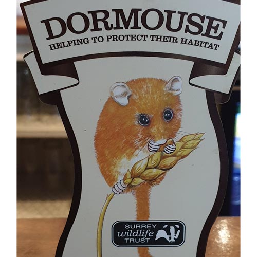 Tillingbourne Brewery's Dormouse ale is supporting the Surrey Wildlife Trust.