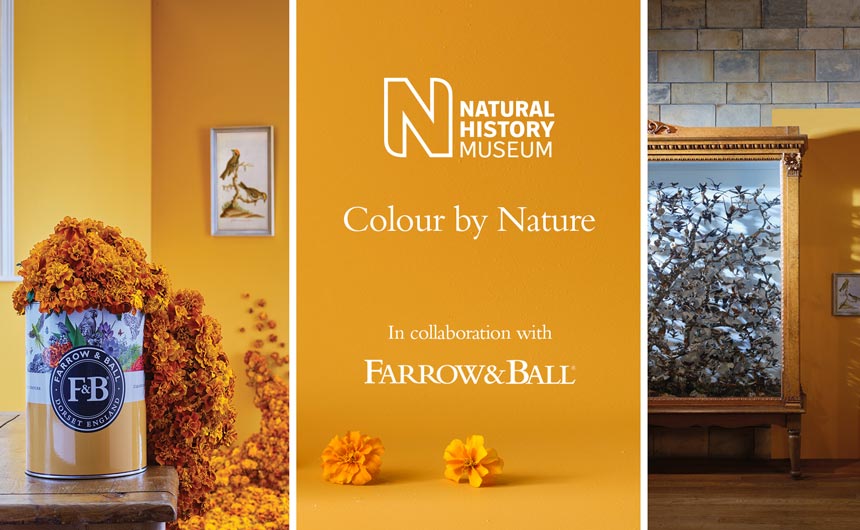 The Farrow & Ball x NHM collaboration shared respect and curiosity for the natural world.