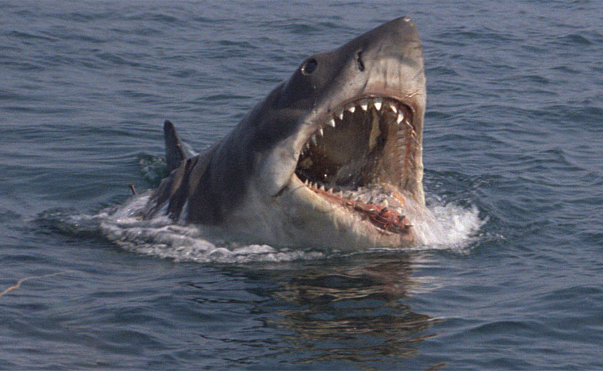 JAWS will be celebrating its 50th anniversary in 2025.